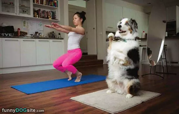 We Are Doing Yoga Class