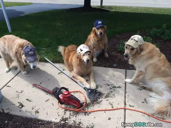 Doing All The Yard Work