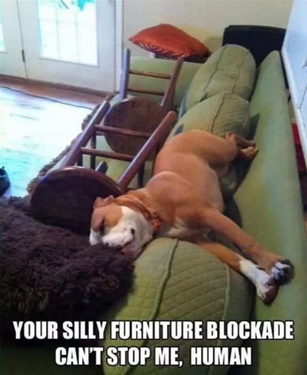 Furniture Blockade