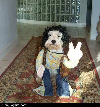 Peace Out Dog