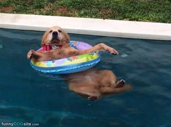 I Am So Relaxed In The Pool