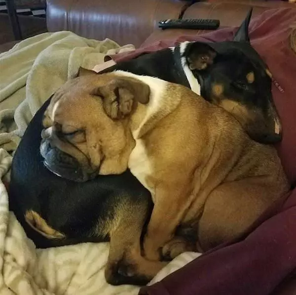 Cuddling Up Together