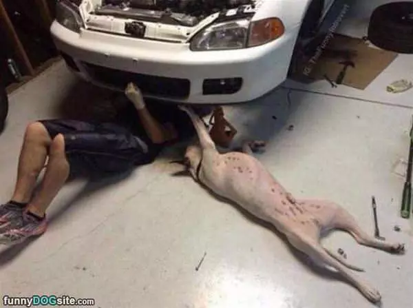 Fixing Up The Car