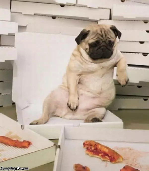 Too Much Pizza