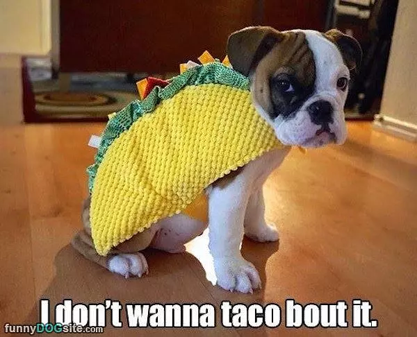 Dont Want To Taco Bout It