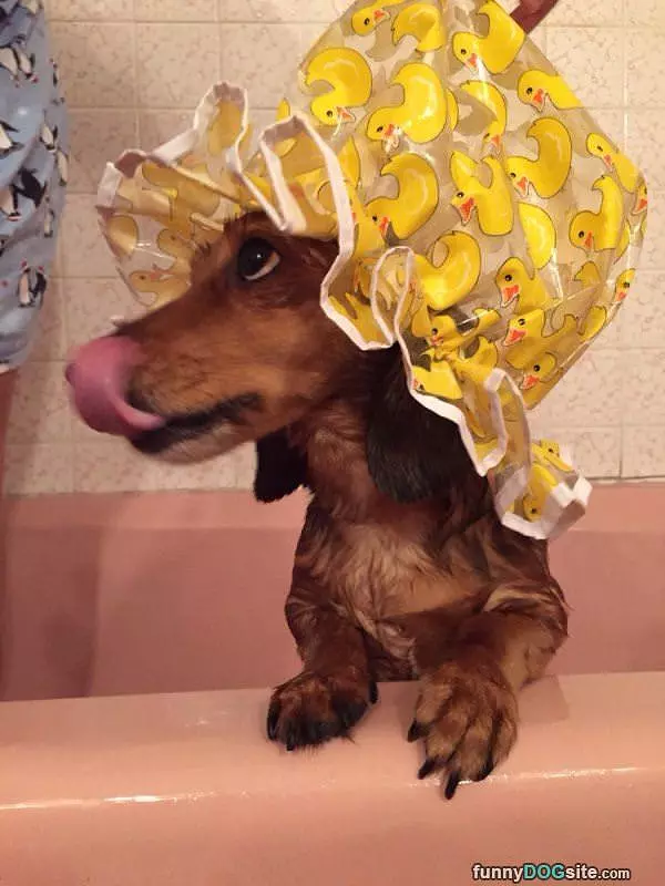 Getting A Shower