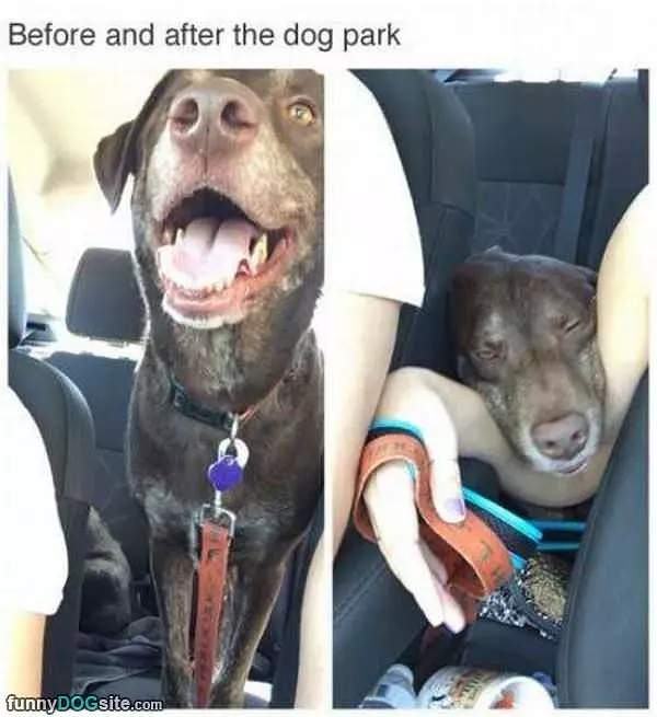 Before And After Park