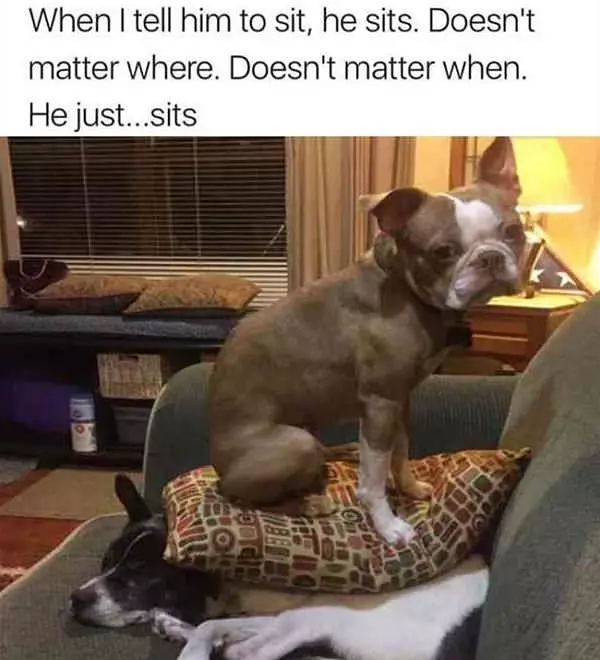 I Just Sit