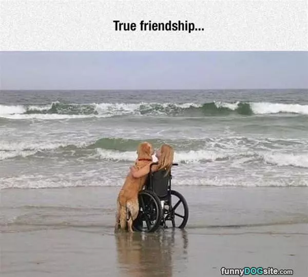 True-friendship