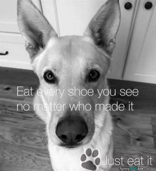 Eat Every Shoe