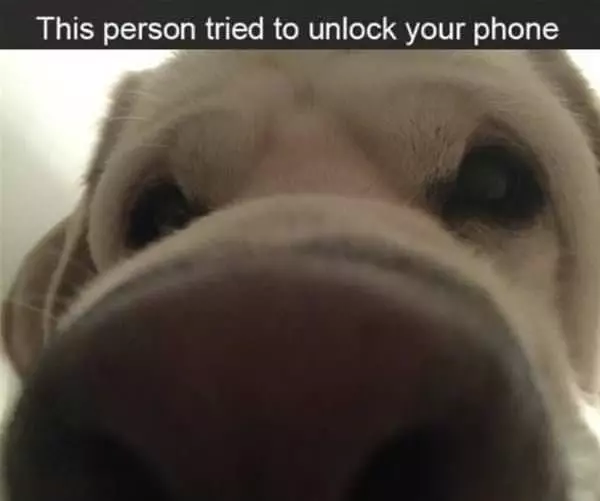 Unlocked Your Phone
