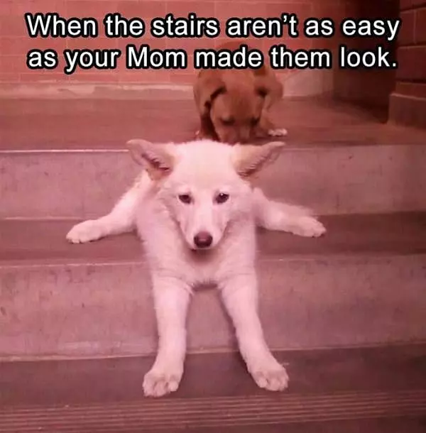 The Stairs Are Not That Easy