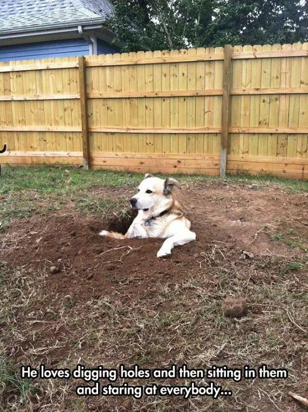 Loves Digging Holes