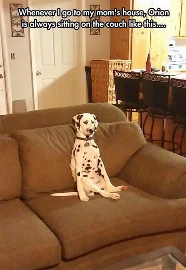 Always Sitting Like This