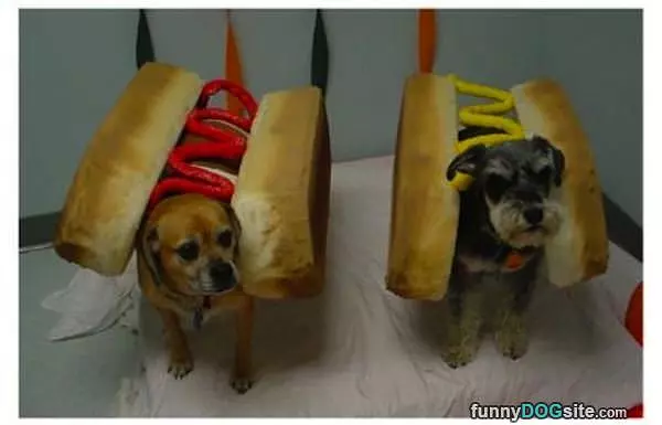 Couple Of Hot Dogs