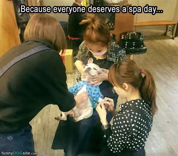 Everyone Deserves A Spa Day