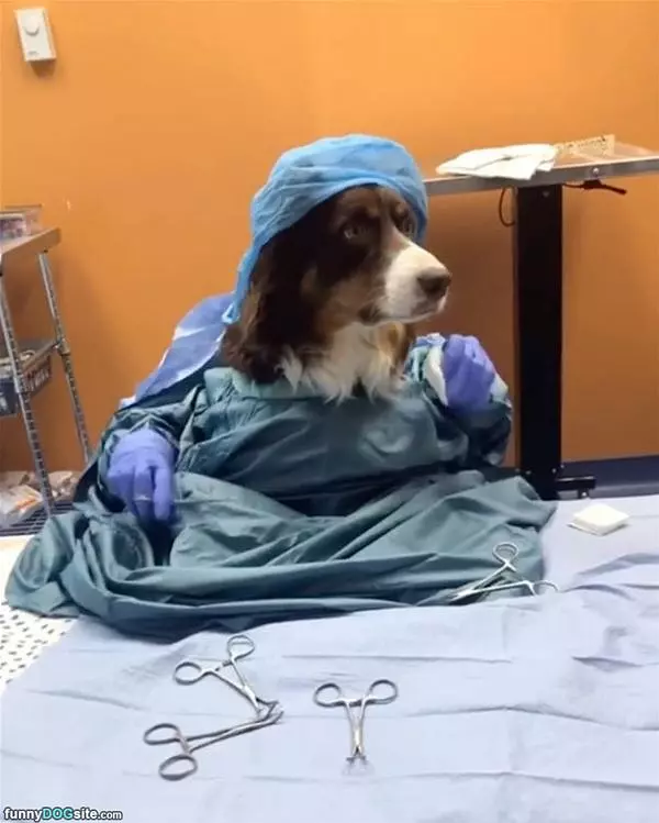 Surgery Time