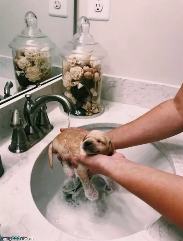 A Tiny Bath