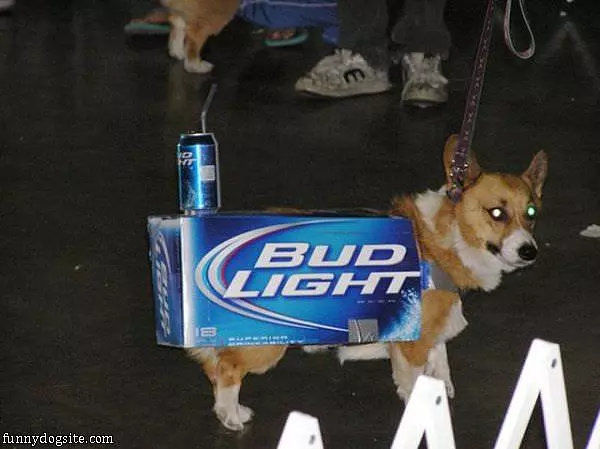 Bud Light Dog