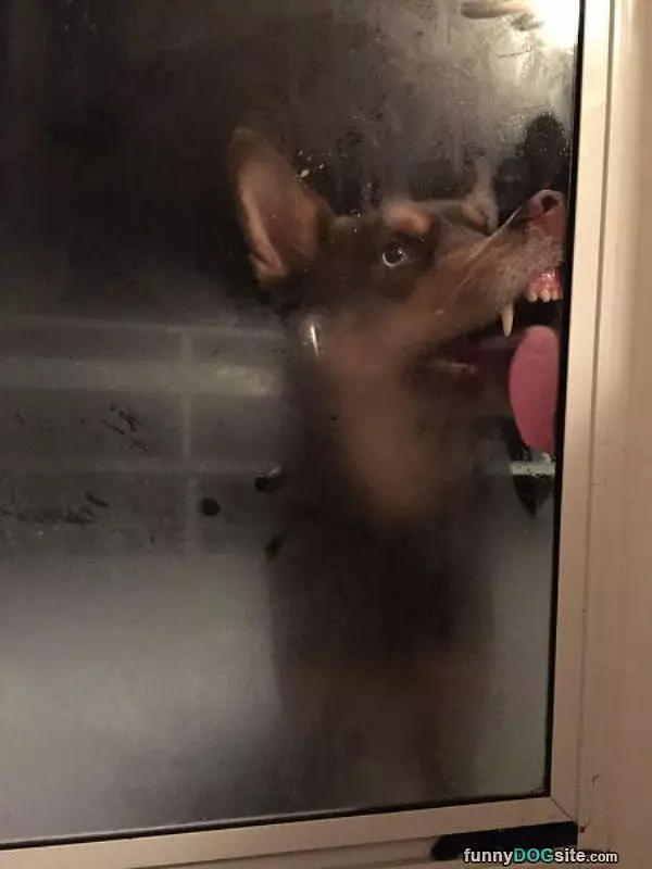 Mmmmm Let Me In