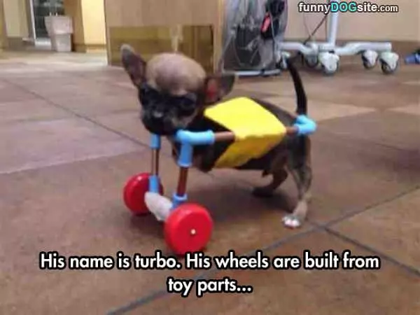 His Name Is Turbo