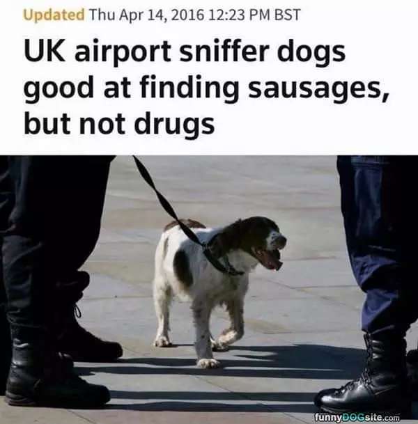 Good At Finding Sausages