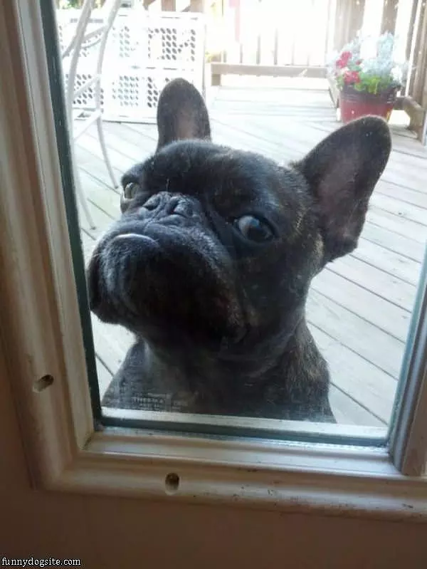 Hey U Let Me In Now