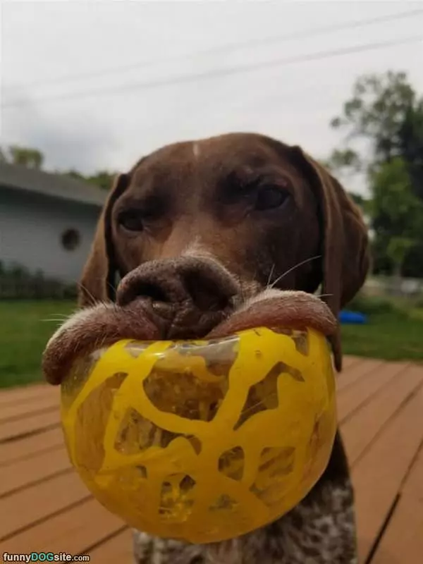 Can You Throw This