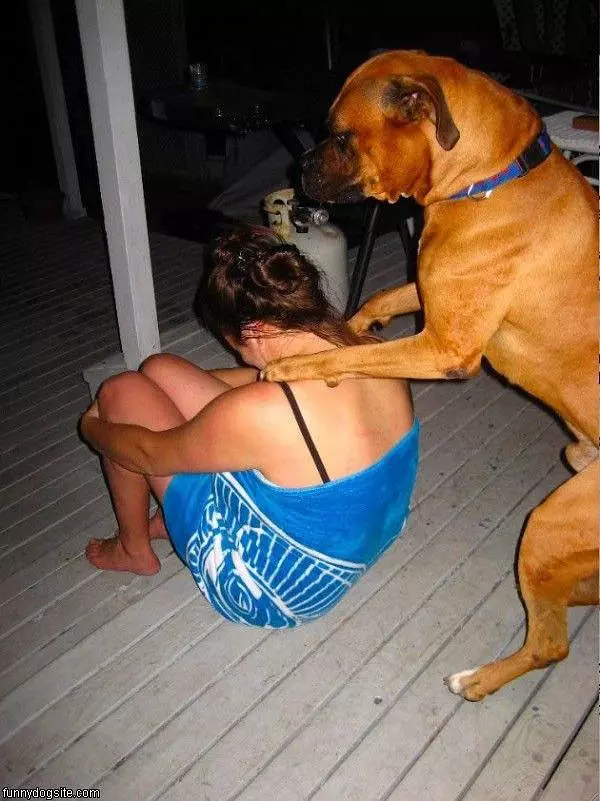 Massage Dog
