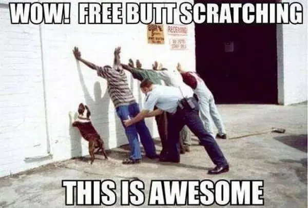 Wow Free Buttscratch