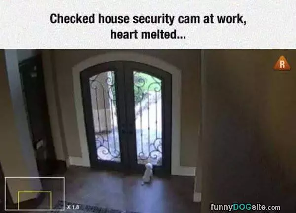 Checked My Security Cam