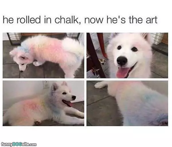 Rolled In The Chalk