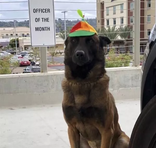 Officer Of The Month