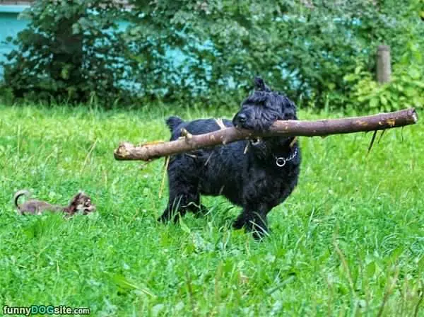 I Got My Stick