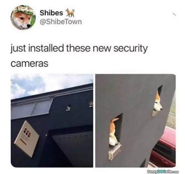 New Security Cameras