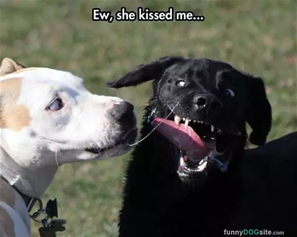 Ewwww She Kissed Me