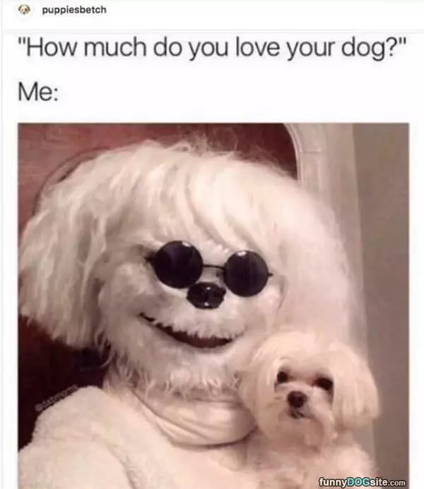 How Much Do You Love Your Dog