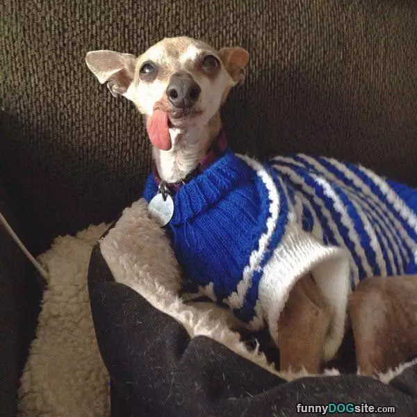 Tongue Out Sweater