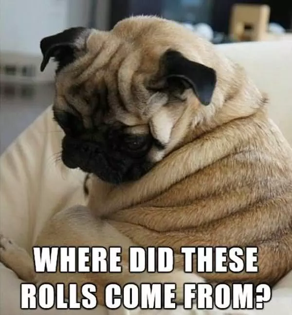 These Rolls
