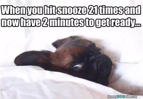 Hit Snooze Too Many Times