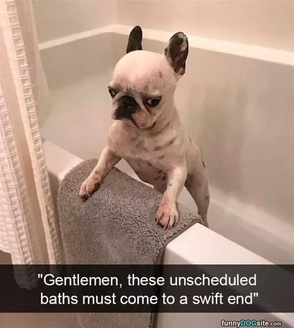 Bath Please