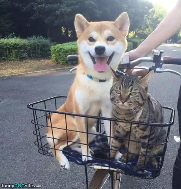 Out For A Ride
