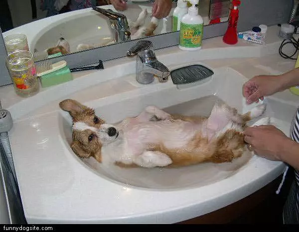 Getting A Bath