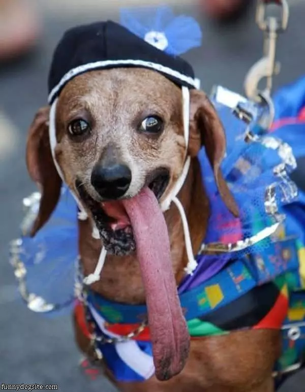 Super Dog Tongue
