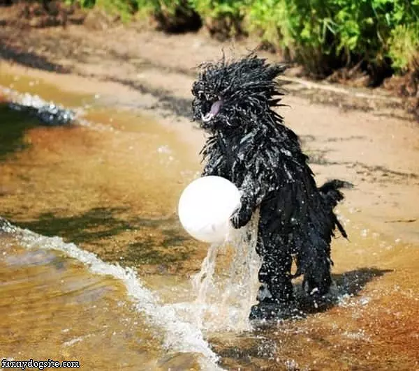 I Love Playing In The Water