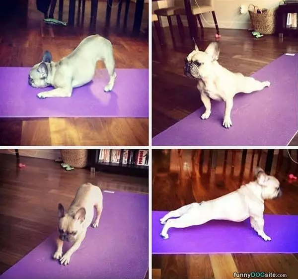 A Little Yoga