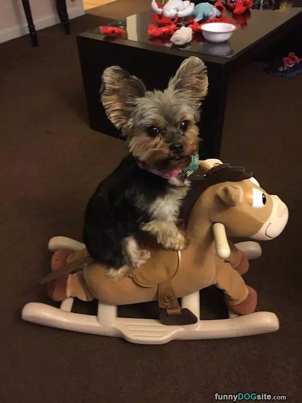 Riding The Horse