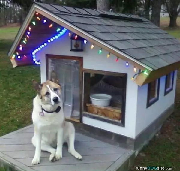 I Has A Christmas Dog House