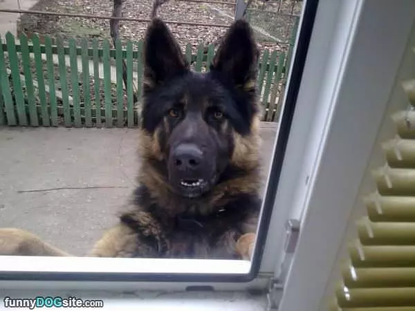 Can I Come In Now