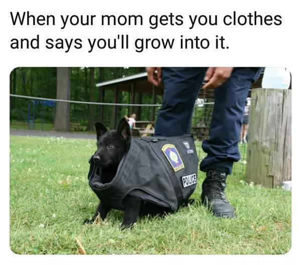 You Will Grow Into Them